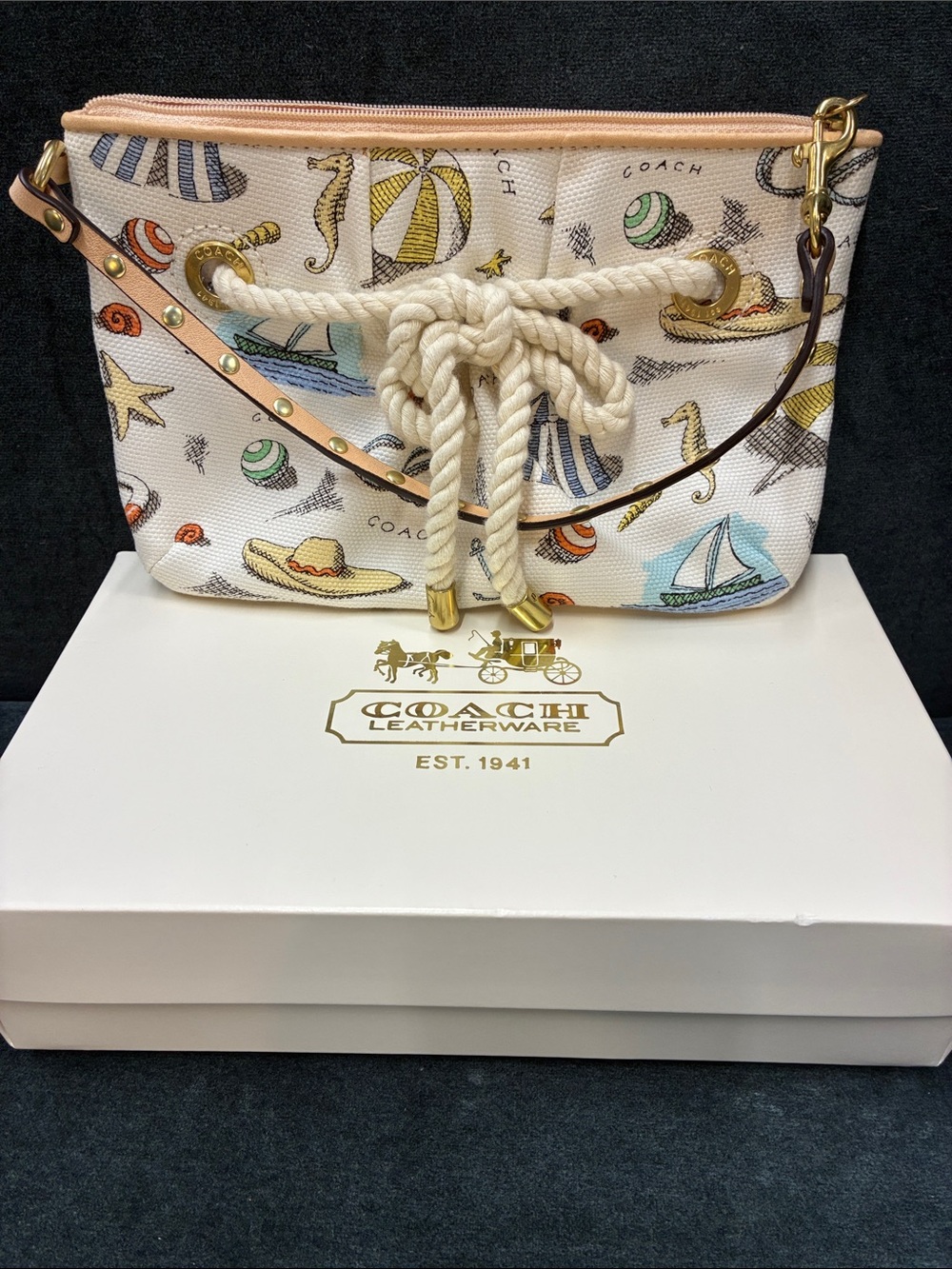 Coach Beach print canvas wristlet